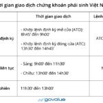 LỊCH GIỜ GIAO DỊCH CHO NGÀY TẾT TẾT HK & ÚC